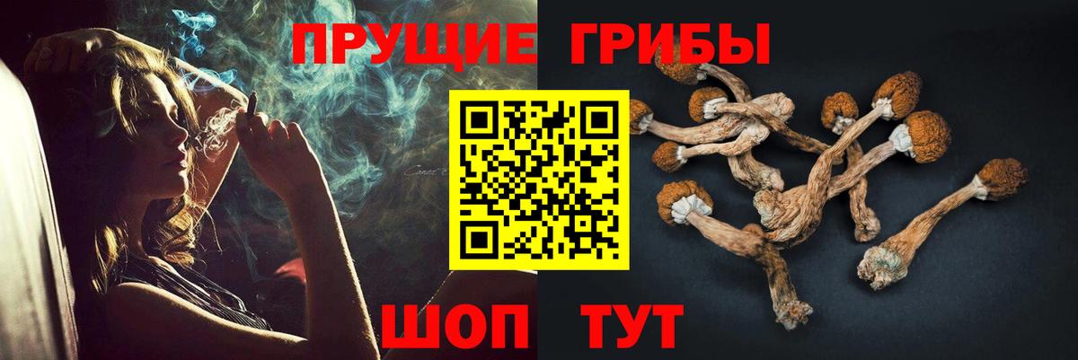 где купить наркотик  Вход с VPN  Великие Луки  Галлюциногенные грибы мухоморы  Галлюциногенные грибы Psilocybine cubensis 